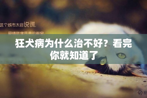 狂犬病為什么治不好？看完你就知道了