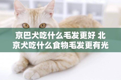 京巴犬吃什么毛發更好 北京犬吃什么食物毛發更有光澤