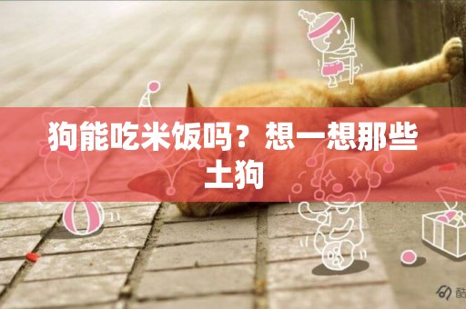 狗能吃米飯嗎？想一想那些土狗