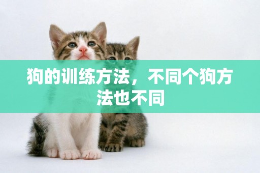 狗的訓練方法，不同個狗方法也不同
