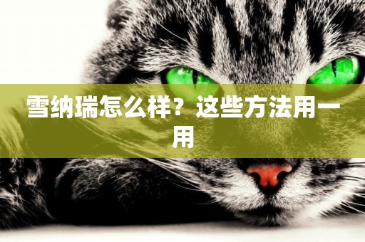 雪納瑞怎么樣？這些方法用一用