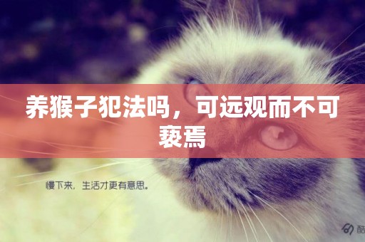 養猴子犯法嗎，可遠觀而不可褻焉