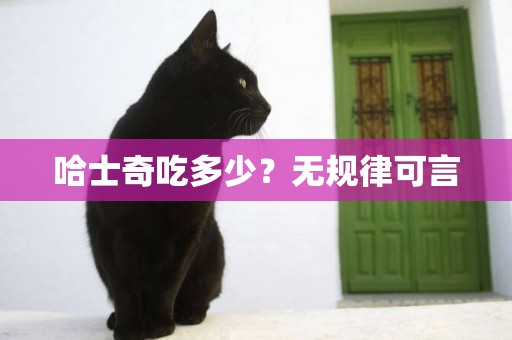 哈士奇吃多少？無規律可言