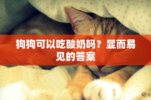 狗狗可以吃酸奶嗎？顯而易見的答案