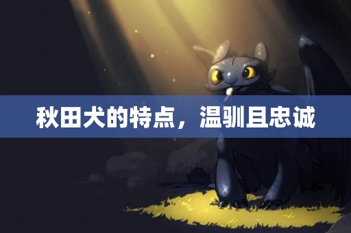 秋田犬的特點，溫馴且忠誠
