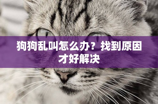 狗狗亂叫怎么辦？找到原因才好解決