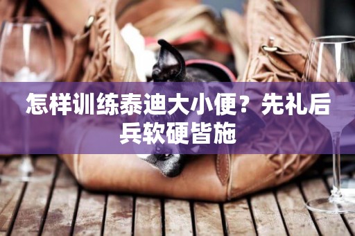 怎樣訓練泰迪大小便？先禮后兵軟硬皆施