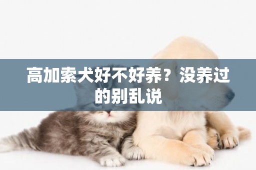 高加索犬好不好養？沒養過的別亂說