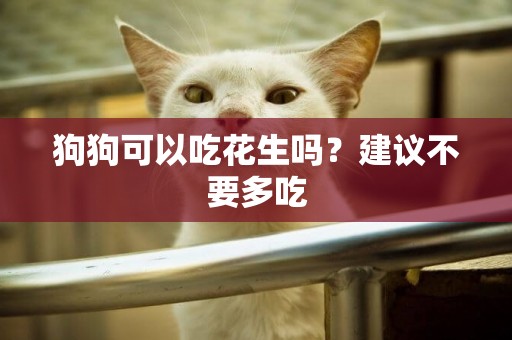 狗狗可以吃花生嗎？建議不要多吃