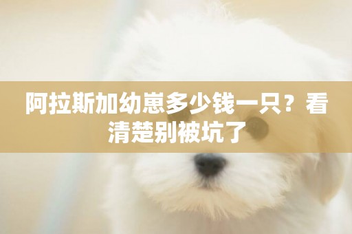 阿拉斯加幼崽多少錢一只？看清楚別被坑了