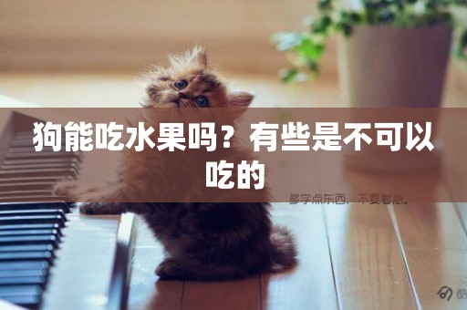 狗能吃水果嗎？有些是不可以吃的