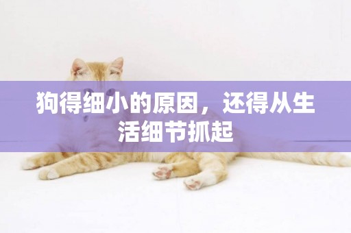 狗得細小的原因，還得從生活細節抓起