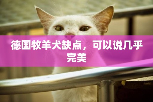 德國牧羊犬缺點，可以說幾乎完美