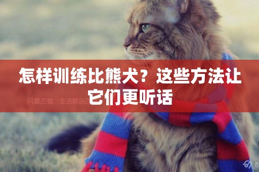 怎樣訓練比熊犬？這些方法讓它們更聽話