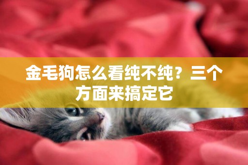金毛狗怎么看純不純？三個方面來搞定它