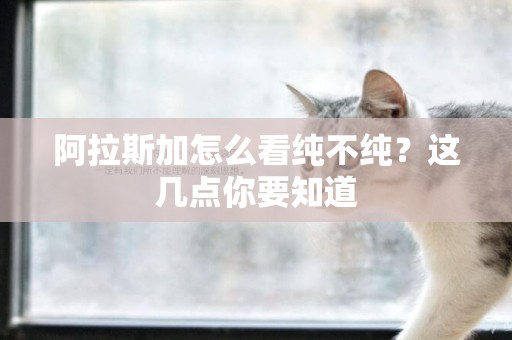 阿拉斯加怎么看純不純？這幾點你要知道
