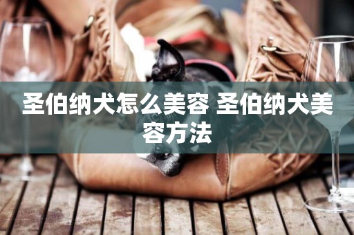 圣伯納犬怎么美容 圣伯納犬美容方法