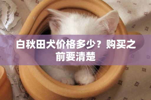 白秋田犬價格多少？購買之前要清楚