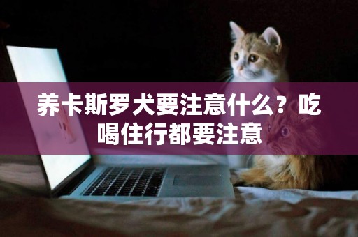 養卡斯羅犬要注意什么？吃喝住行都要注意
