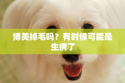 博美掉毛嗎？有時候可能是生病了