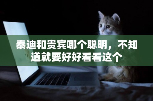 泰迪和貴賓哪個聰明，不知道就要好好看看這個