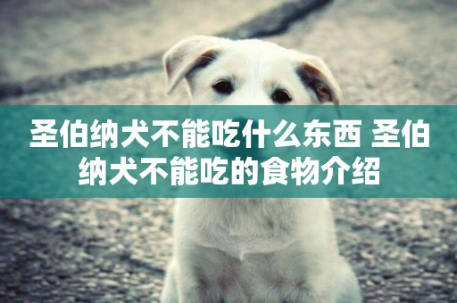 圣伯納犬不能吃什么東西 圣伯納犬不能吃的食物介紹