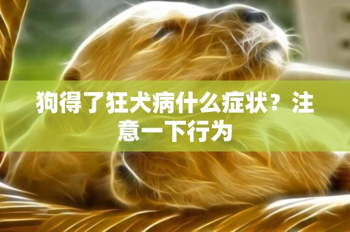 狗得了狂犬病什么癥狀？注意一下行為