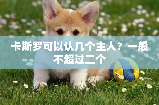 卡斯羅可以認幾個主人？一般不超過二個