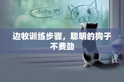 邊牧訓練步驟，聰明的狗子不費勁