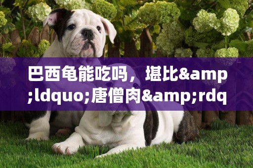 巴西龜能吃嗎，堪比&ldquo;唐僧肉&rdquo;？