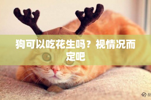 狗可以吃花生嗎？視情況而定吧