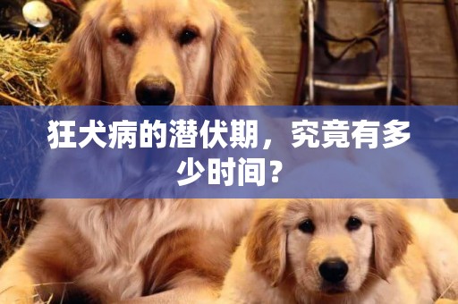 狂犬病的潛伏期，究竟有多少時間？