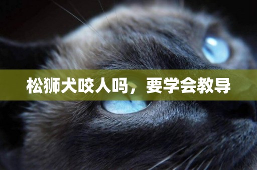 松獅犬咬人嗎，要學會教導