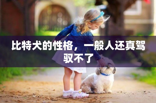 比特犬的性格，一般人還真駕馭不了