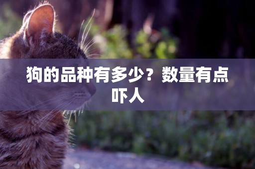 狗的品種有多少？數量有點嚇人