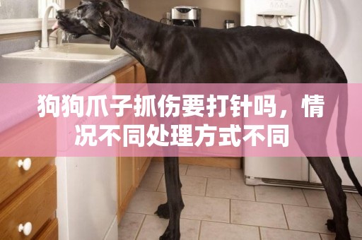 狗狗爪子抓傷要打針嗎，情況不同處理方式不同