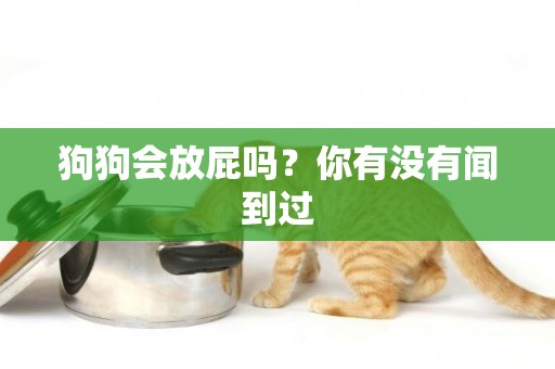 狗狗會放屁嗎？你有沒有聞到過