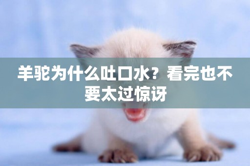 羊駝為什么吐口水？看完也不要太過驚訝