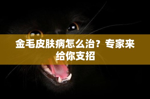 金毛皮膚病怎么治？專家來給你支招