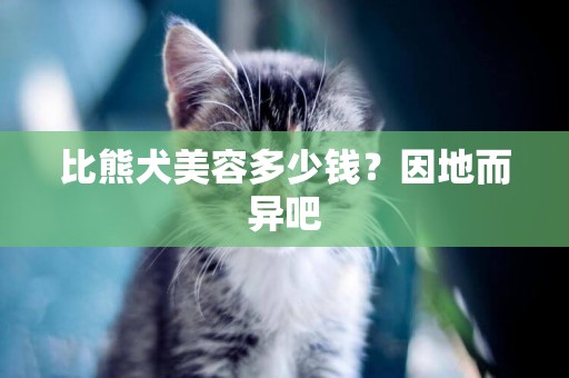 比熊犬美容多少錢？因地而異吧