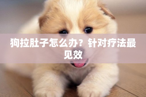 狗拉肚子怎么辦？針對療法最見效