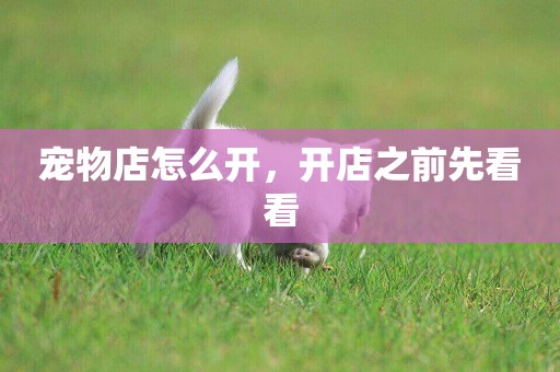 寵物店怎么開，開店之前先看看