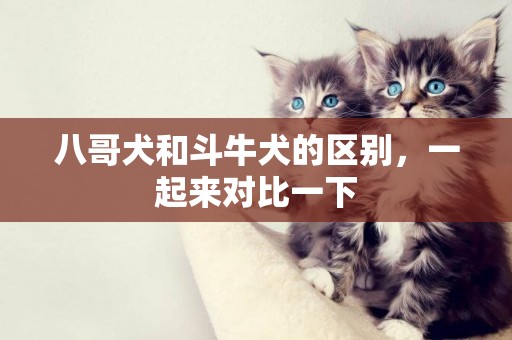 八哥犬和斗牛犬的區別，一起來對比一下