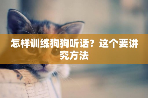 怎樣訓練狗狗聽話？這個要講究方法
