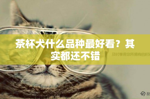 茶杯犬什么品種最好看？其實都還不錯