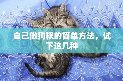 自己做狗糧的簡單方法，試下這幾種