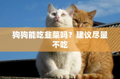 狗狗能吃韭菜嗎？建議盡量不吃