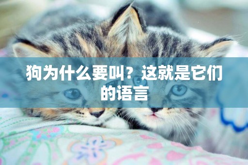 狗為什么要叫？這就是它們的語言