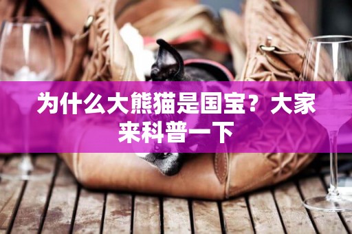 為什么大熊貓是國寶？大家來科普一下