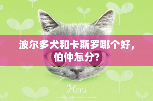 波爾多犬和卡斯羅哪個好，伯仲怎分？